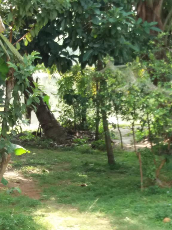 Ishitha Homestay Tangalle Ngoại thất bức ảnh