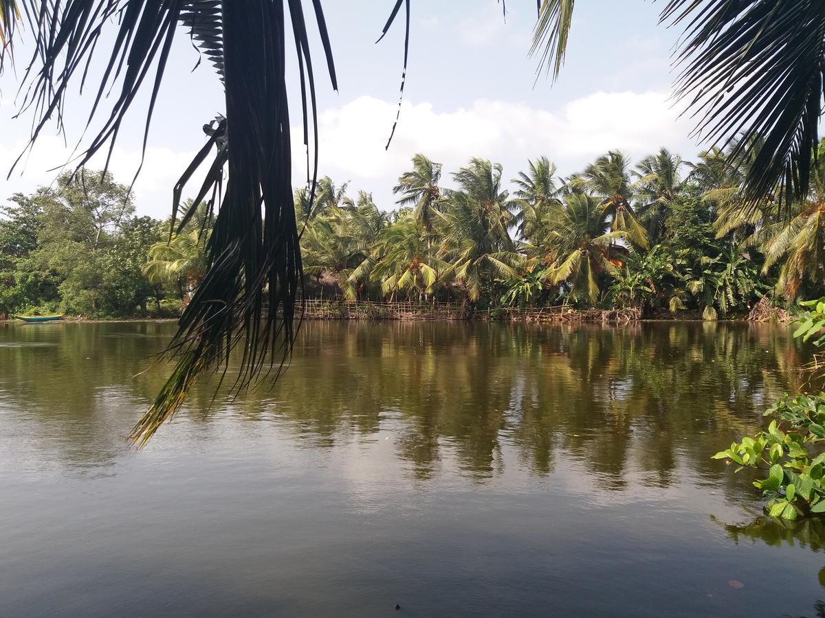 Ishitha Homestay Tangalle Ngoại thất bức ảnh