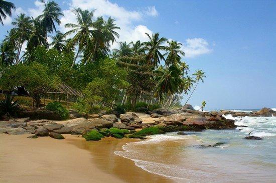 Ishitha Homestay Tangalle Ngoại thất bức ảnh