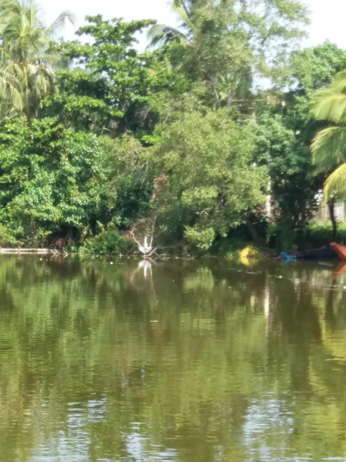 Ishitha Homestay Tangalle Ngoại thất bức ảnh